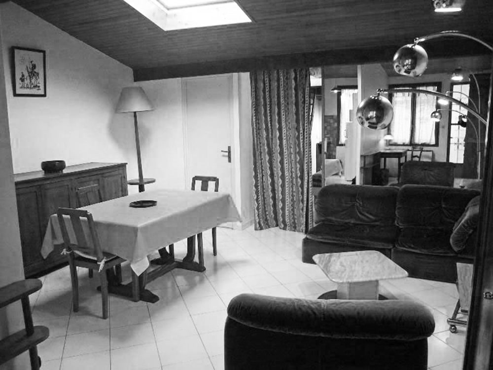 Rénovation d'une chartreuse salon existant